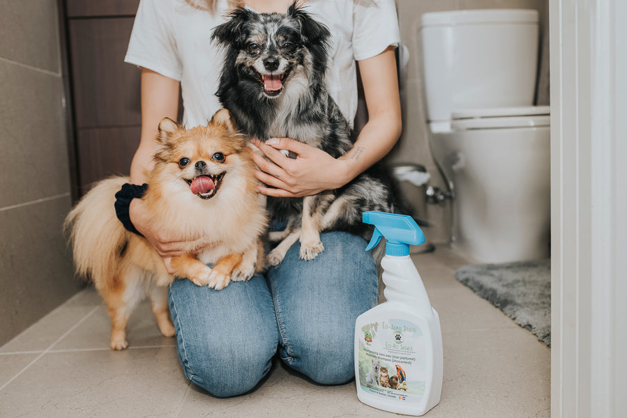 Le nouveau shampooing sans eau, fabriqué par une entreprise canadienne, redéfinit l'heure du bain pour votre chien (anglais)