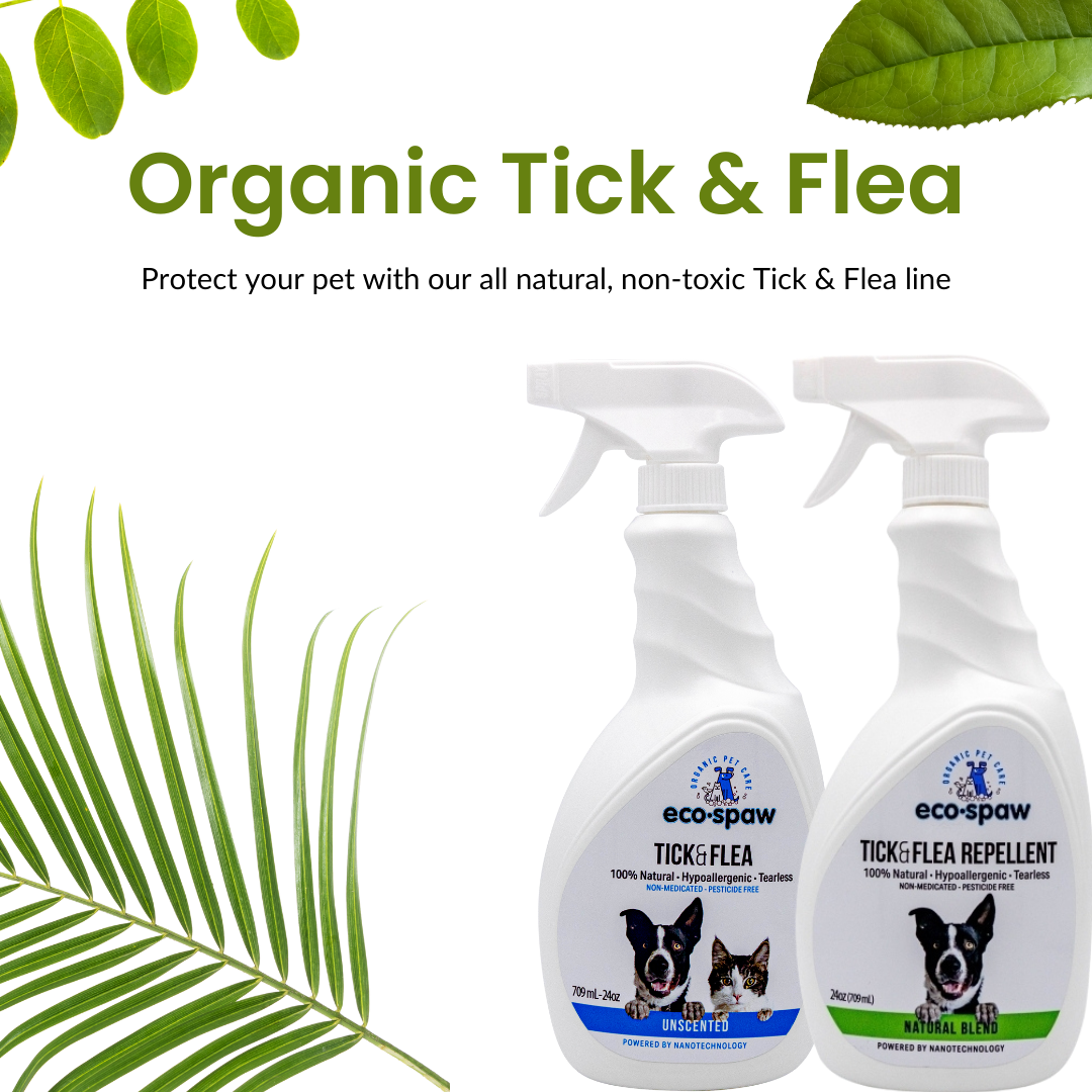 Natural tick and top flea remedies for dogs