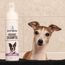 Load image into Gallery viewer, Organic Pet Shampoo, 7oz (207mL)