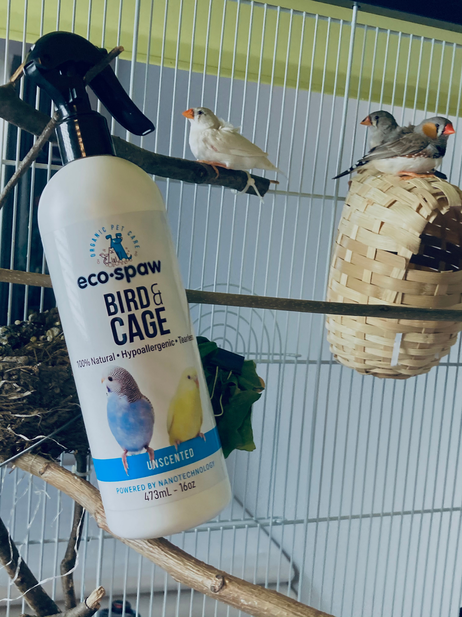 Self cleaning bird shop cage